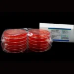 Imagen anterior del producto